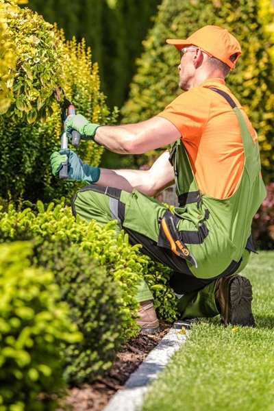 Conservação de Jardim