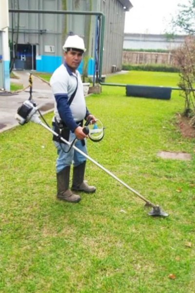 manutenção de jardim