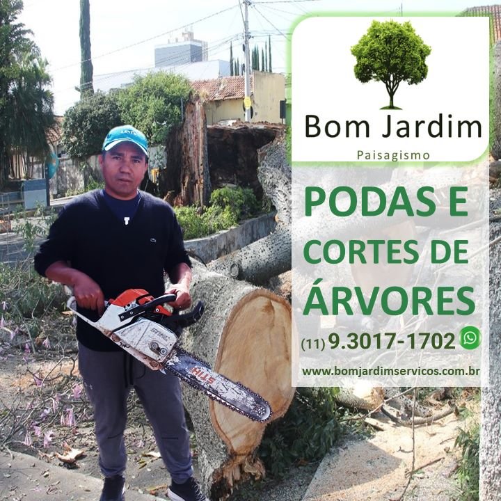 Corte de Árvores e Podas